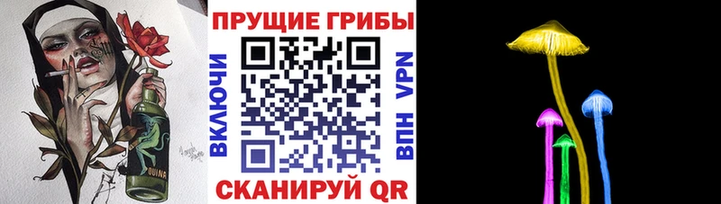 Псилоцибиновые грибы Psilocybine cubensis  мега ссылка  Кадников  купить наркотик 